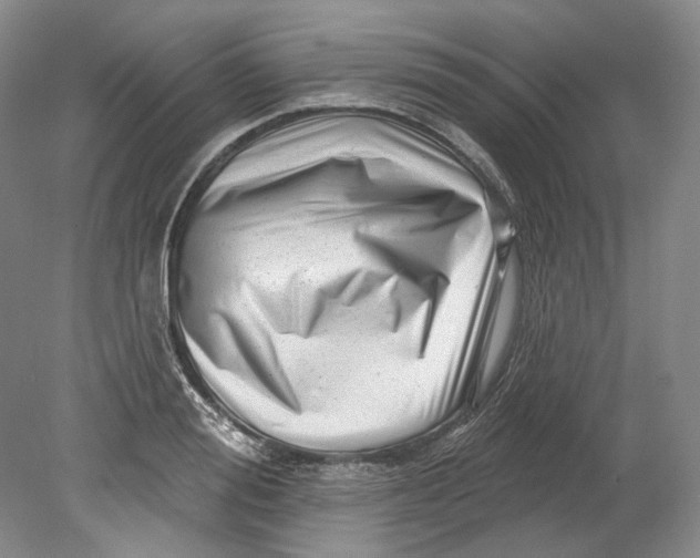 X0000080740988200701021142