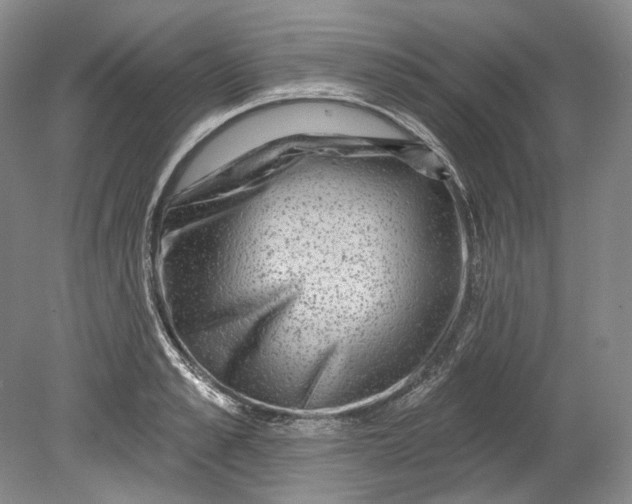 X0000080740989200701021142