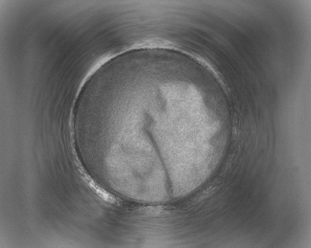 X0000080740990200701021142