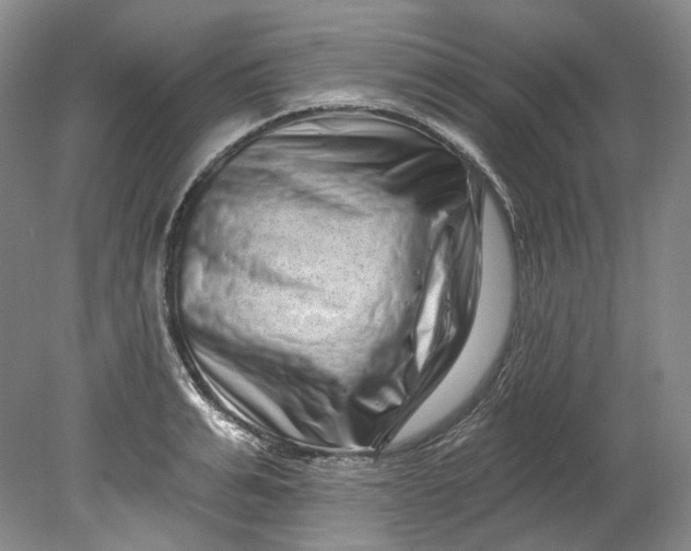 X0000080740991200701021142