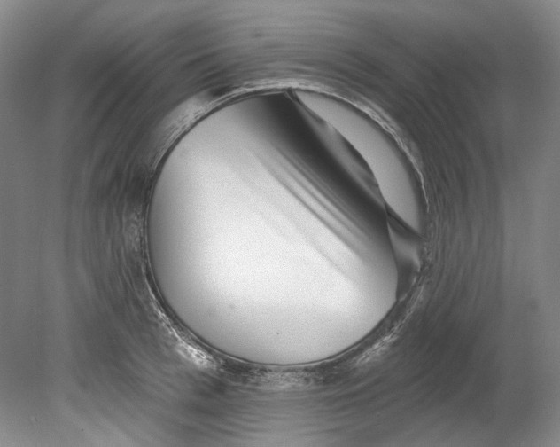 X0000080740993200701021142