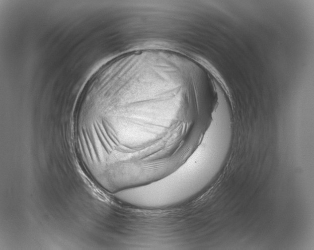 X0000080740996200701021142