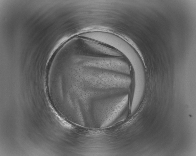 X0000080740997200701021142