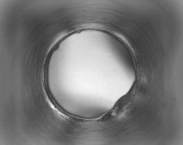 X0000080740999200701021142