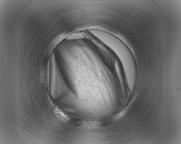 X0000080741001200701021142