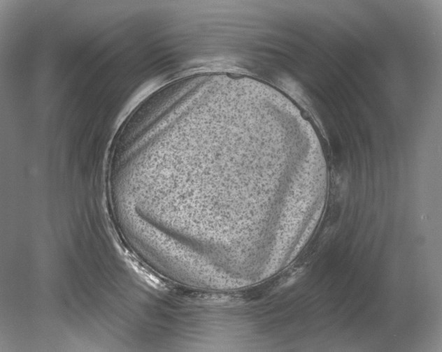 X0000080741002200701021142