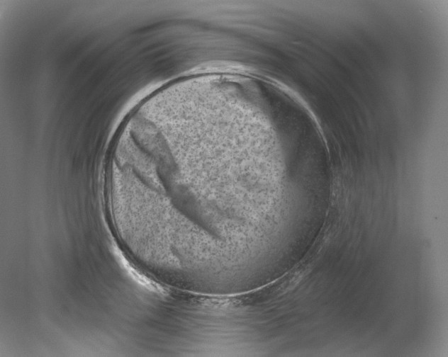 X0000080741003200701021142