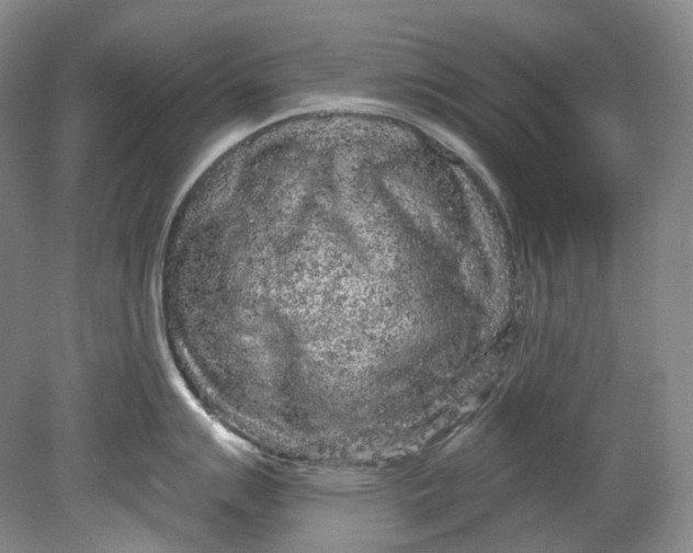 X0000080741007200701021142