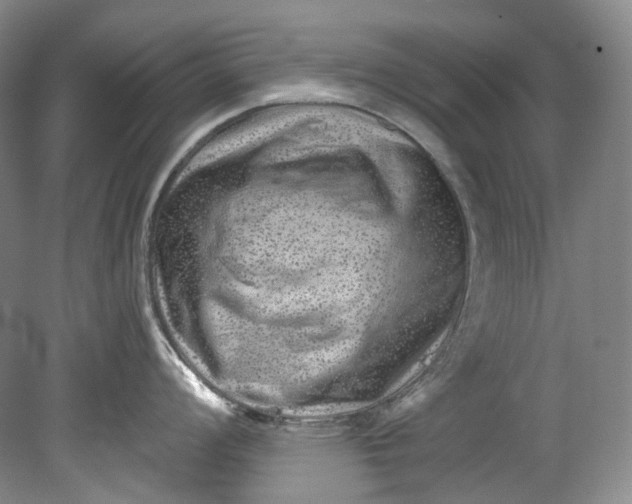 X0000080741008200701021142