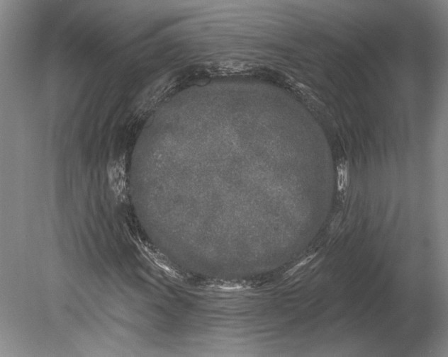 X0000080741011200701021141