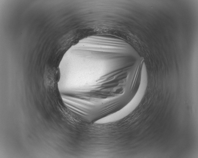 X0000080741012200701021141