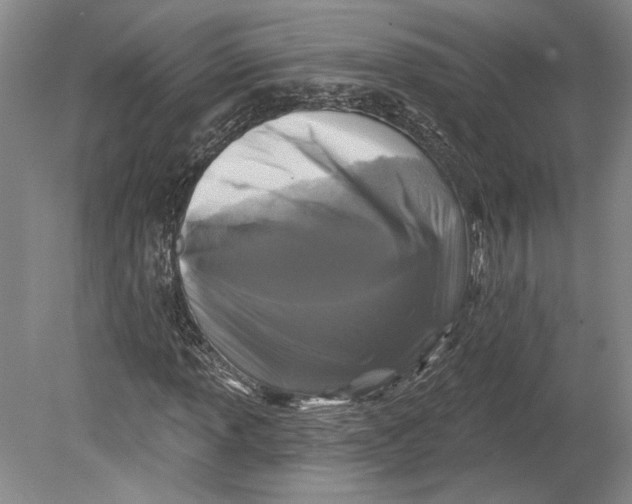 X0000080741013200701021141