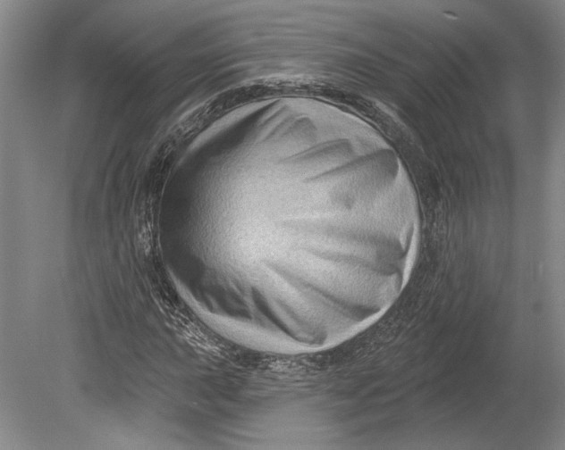 X0000080741015200701021141