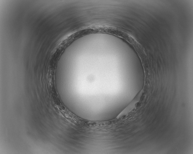 X0000080741016200701021141