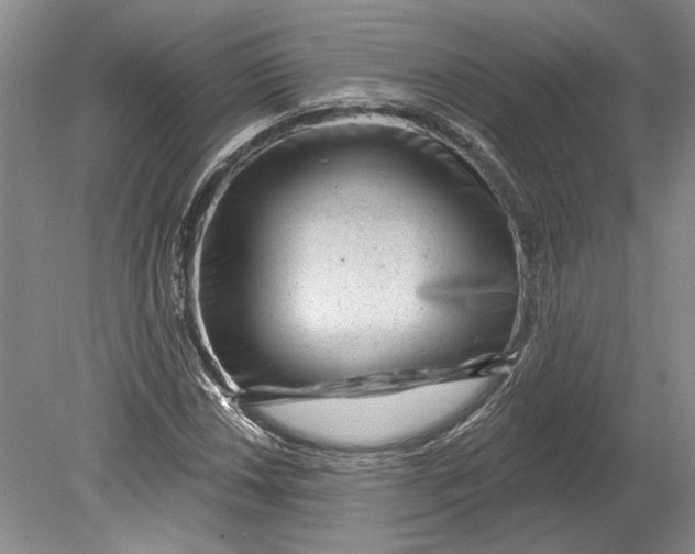 X0000080741018200701021141