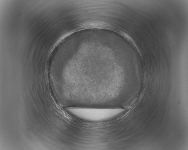 X0000080741019200701021141