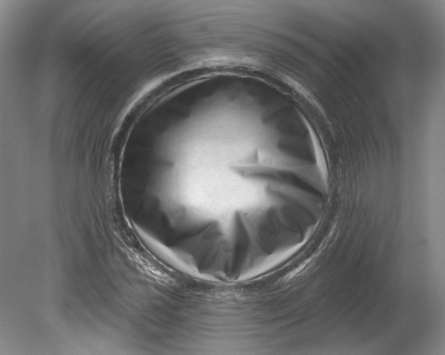 X0000080741021200701021141