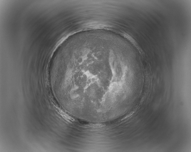 X0000080741023200701021141