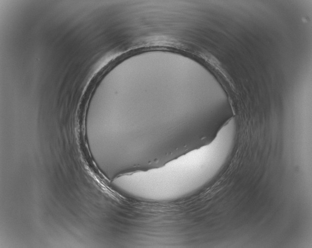 X0000080741024200701021141