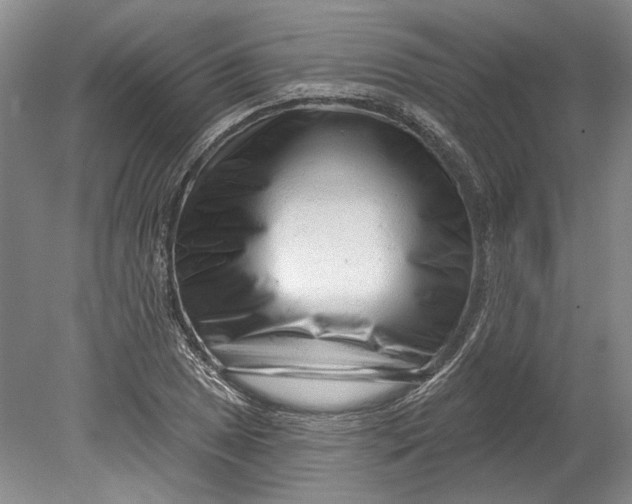 X0000080741025200701021141