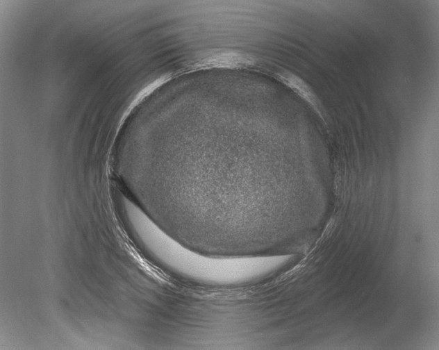 X0000080741026200701021141