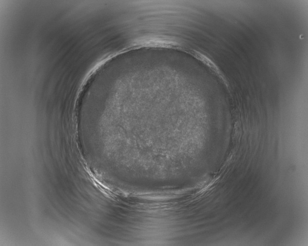 X0000080741027200701021141