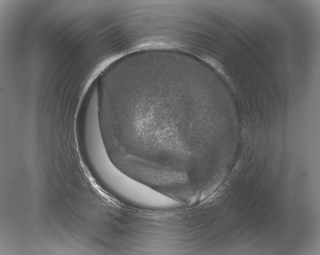 X0000080741030200701021141