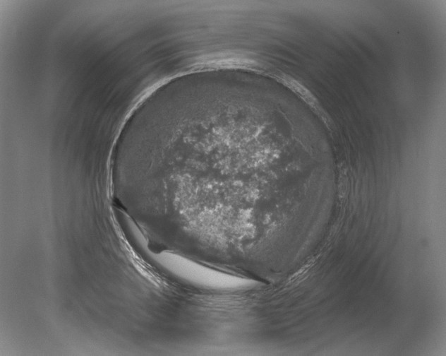 X0000080741031200701021141