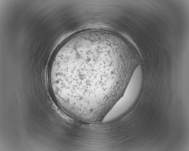 X0000080741032200701021141