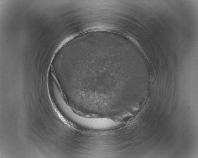 X0000080741034200701021141