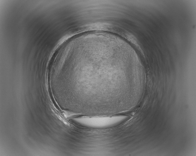 X0000080741035200701021141