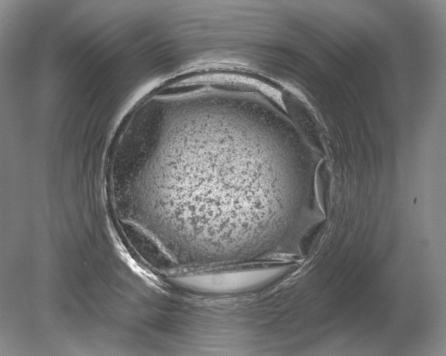 X0000080741038200701021141