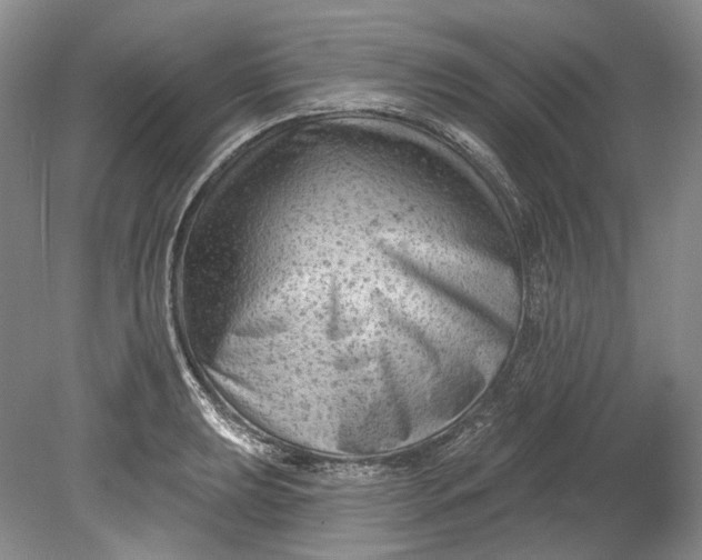 X0000080741039200701021141