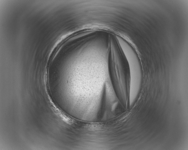 X0000080741040200701021141