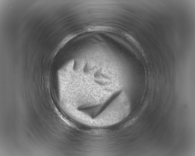 X0000080741041200701021141