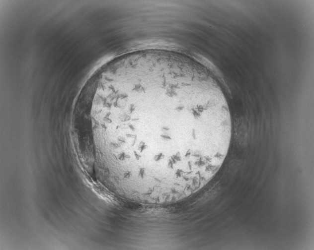 X0000080741043200701021141