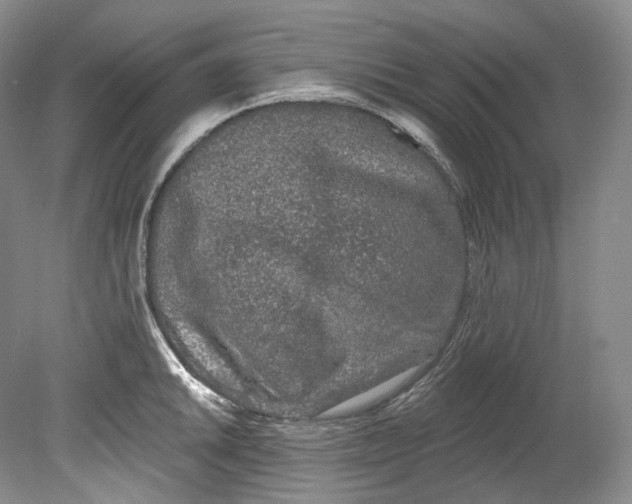 X0000080741046200701021141