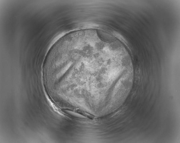 X0000080741047200701021141