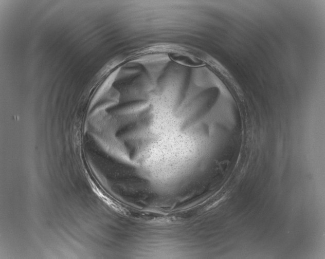 X0000080741049200701021142