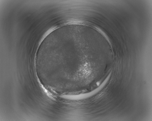 X0000080741050200701021142