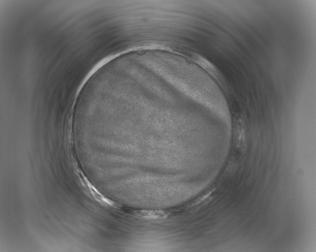 X0000080741052200701021142