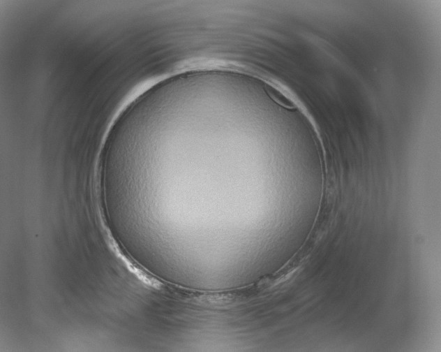 X0000080741053200701021142