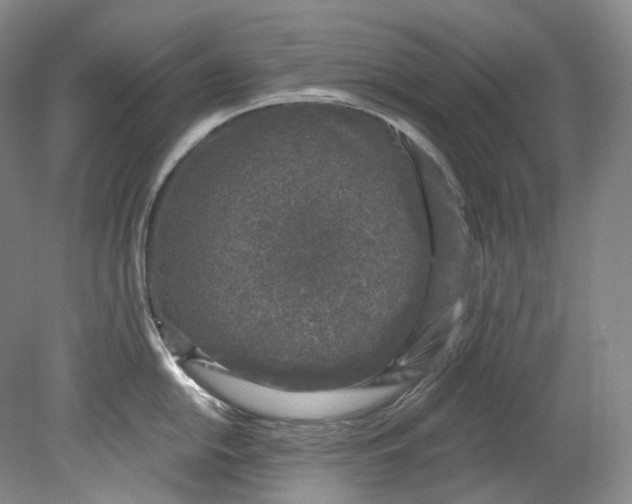 X0000080741054200701021142