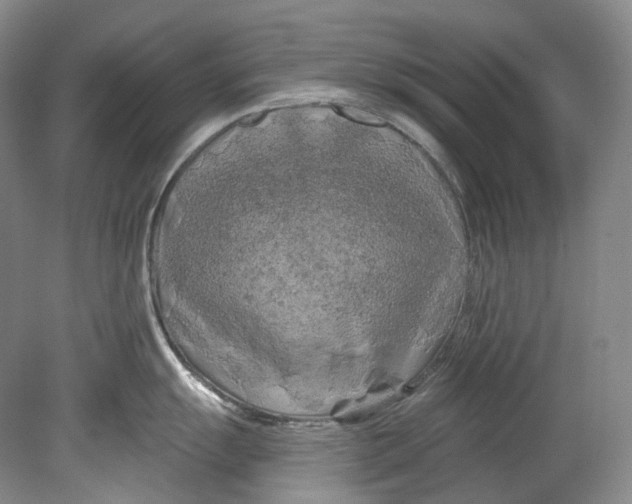 X0000080741055200701021142