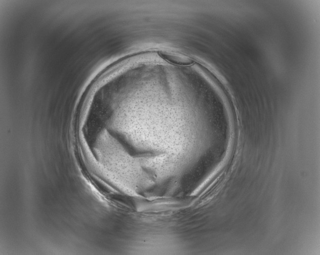 X0000080741056200701021142