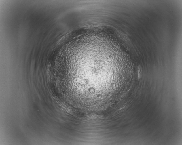 X0000080741059200701021141