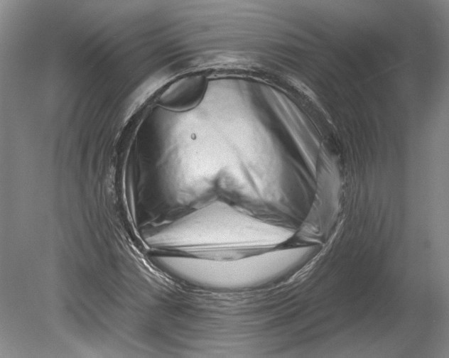 X0000080741066200701021141