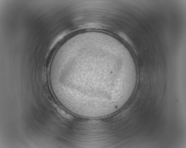 X0000080741067200701021141