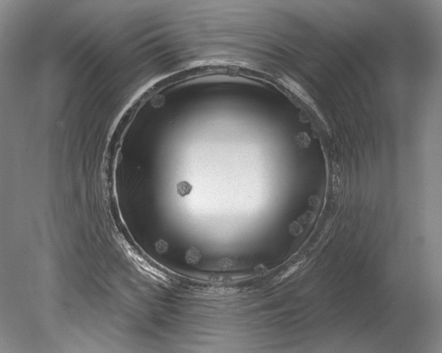 X0000080741068200701021141