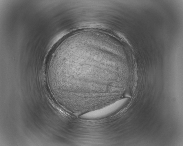 X0000080741071200701021141